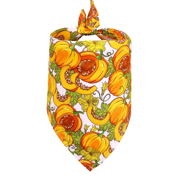 Product Details Image2