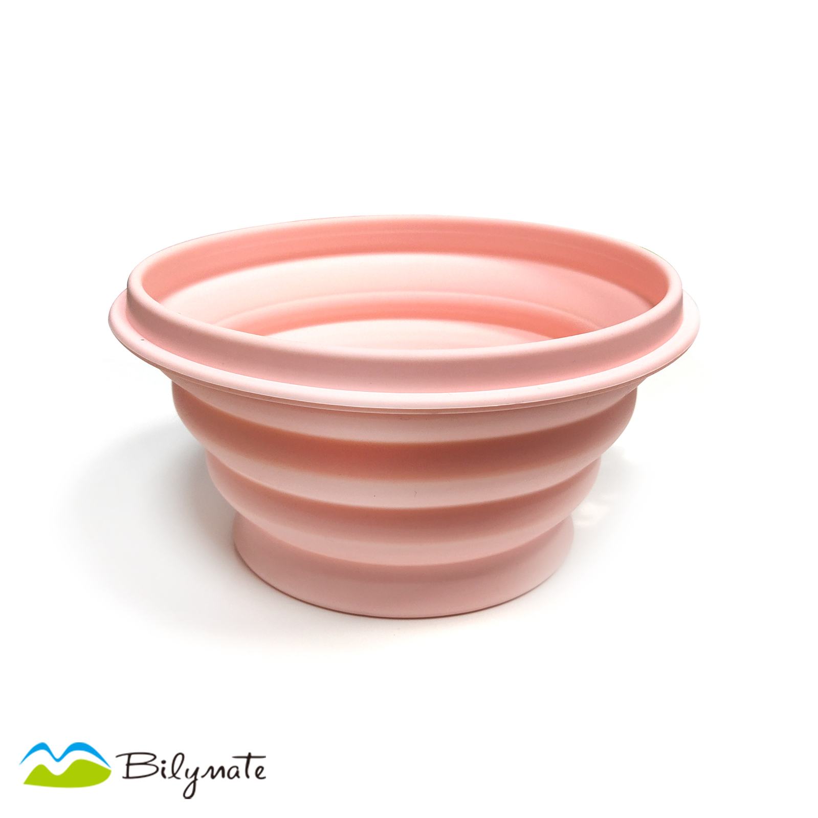 Silicone foldable bowl